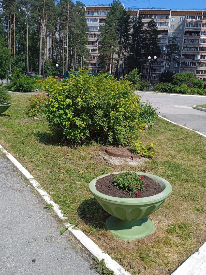 Т.156 покос травы (1).jpeg