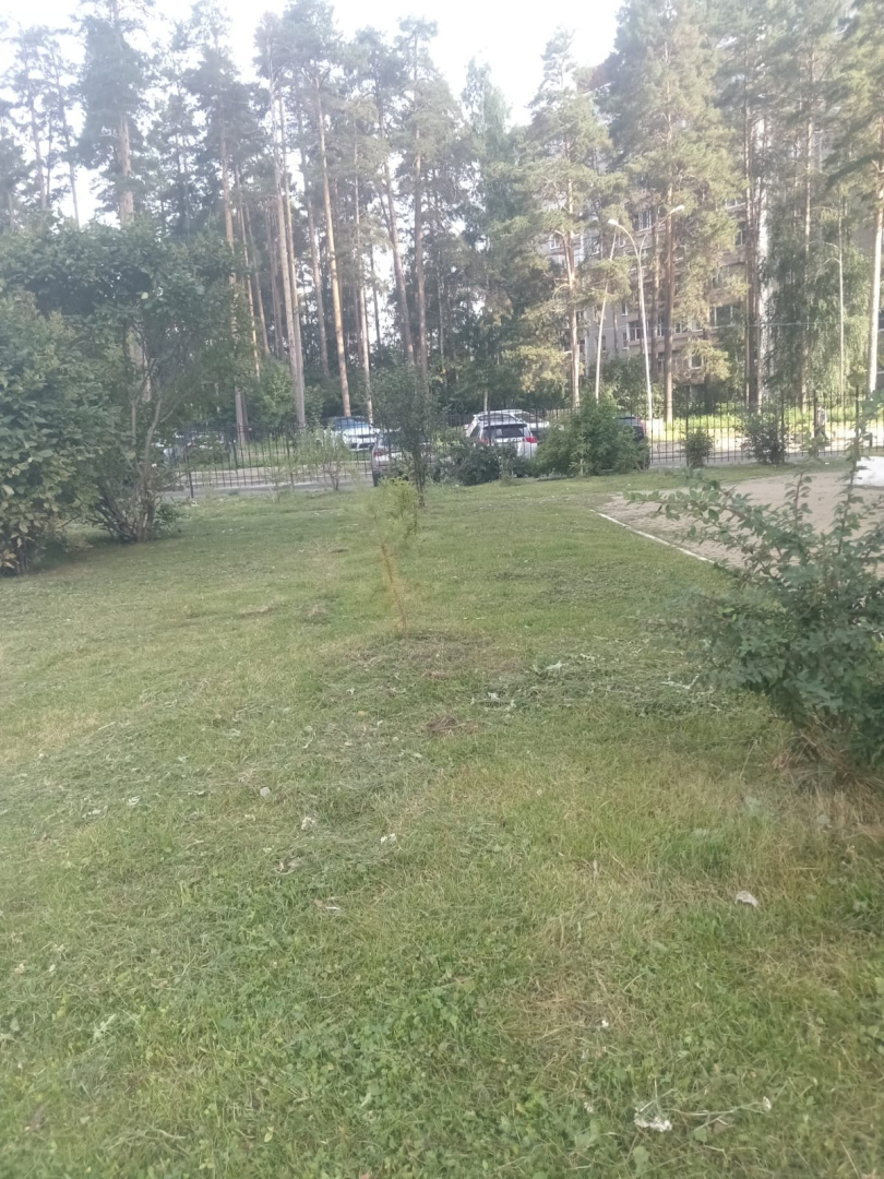 Технич.158 (3).jpeg