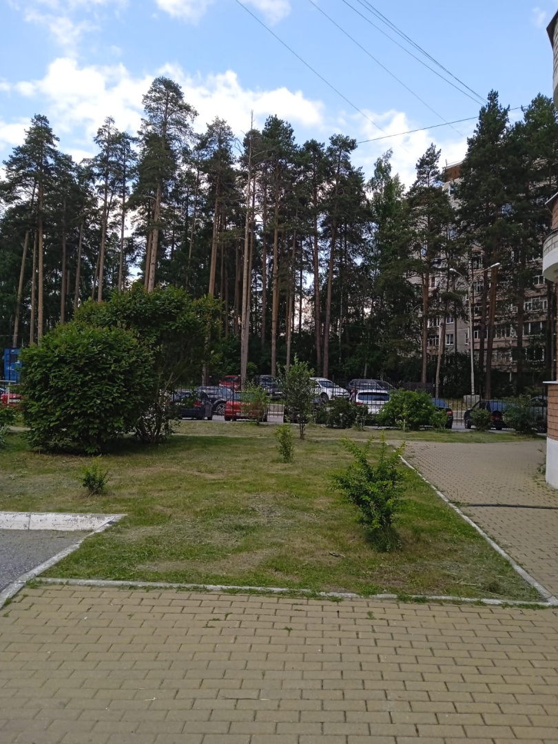 Т.158 покос (1).jpeg