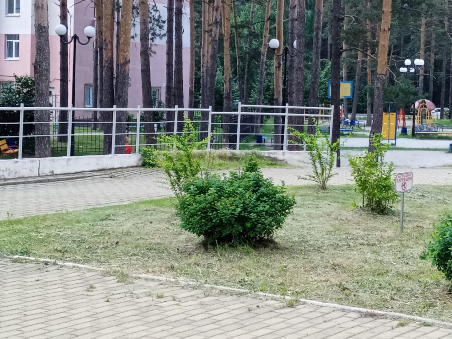 Тенич.158 покос.jpeg